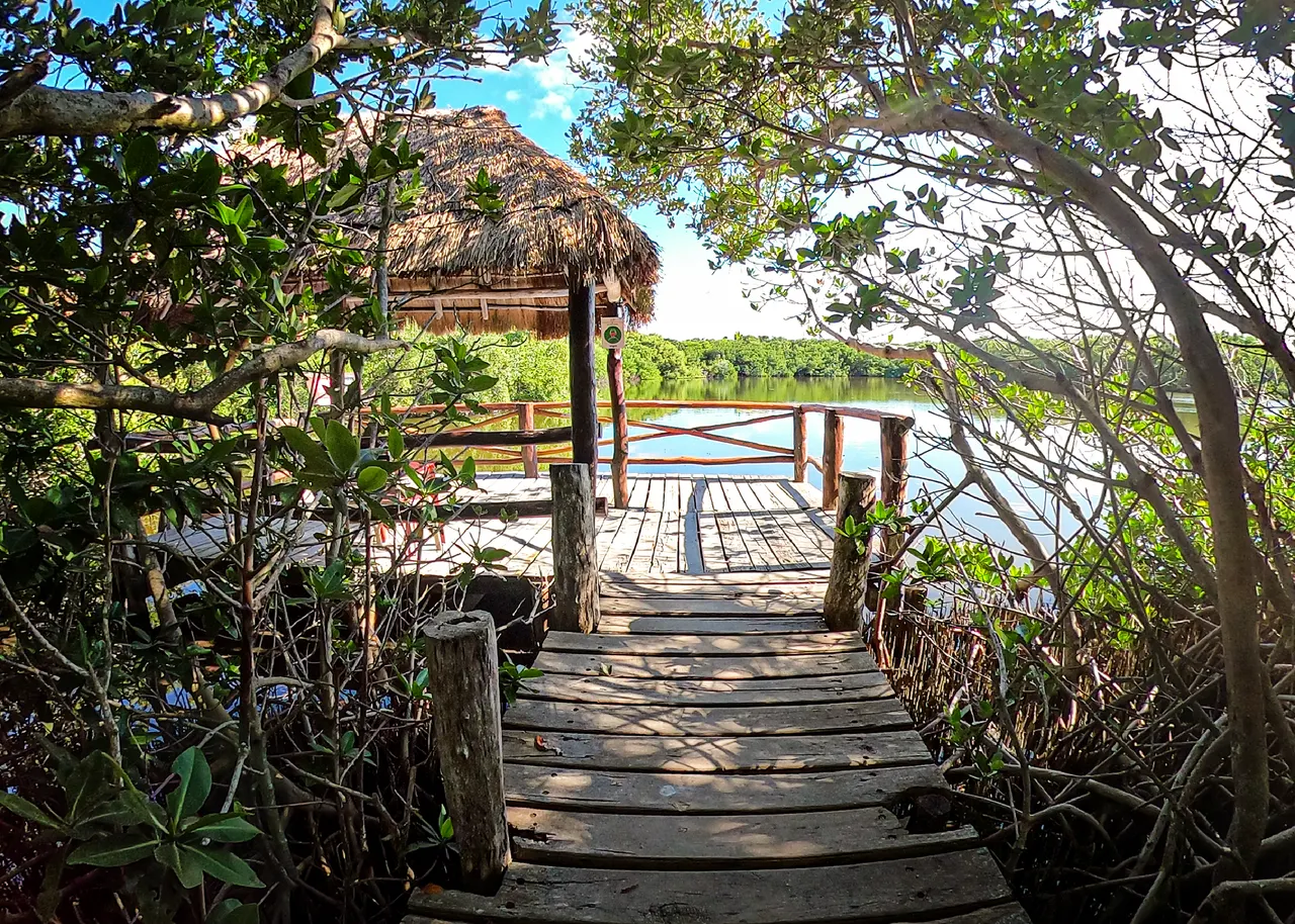 Pasarela de madera rústica flanqueada por manglares y vegetación tropical, conduciendo hacia una palapa de techo de paja y una plataforma de observación con vistas a una laguna serena de agua turquesa. Ambiente natural y relajado, ideal para capturar la esencia de los clubs de playa de Quintana Roo.