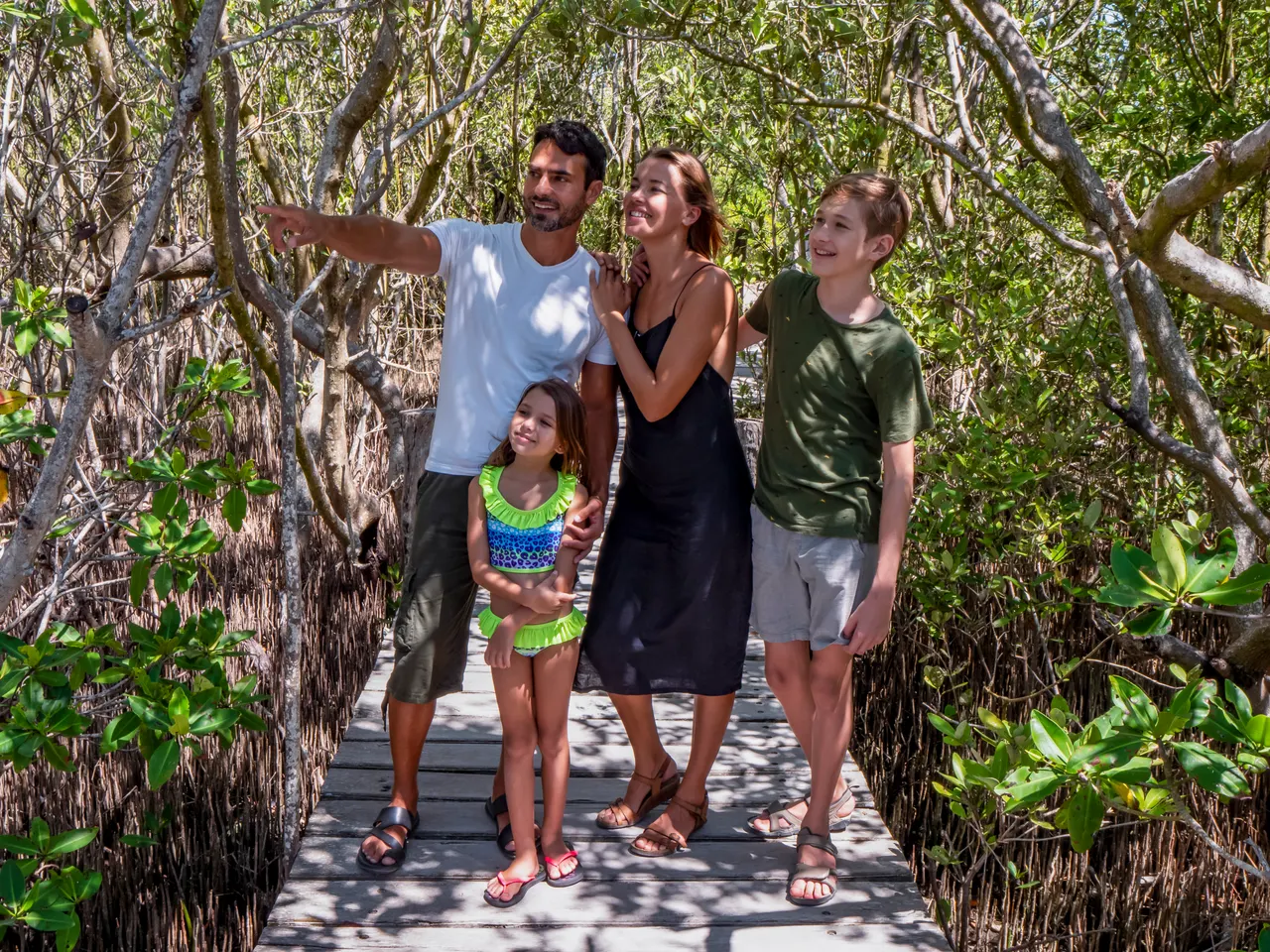 Familia de cuatro personas (dos adultos y dos niños) caminando alegremente por un estrecho sendero de madera rodeado de densa vegetación de manglares. El padre señala hacia la naturaleza mientras disfrutan de una experiencia de exploración natural en día soleado. La atmósfera es casual, educativa y perfecta para actividades familiares en naturaleza virgen.
