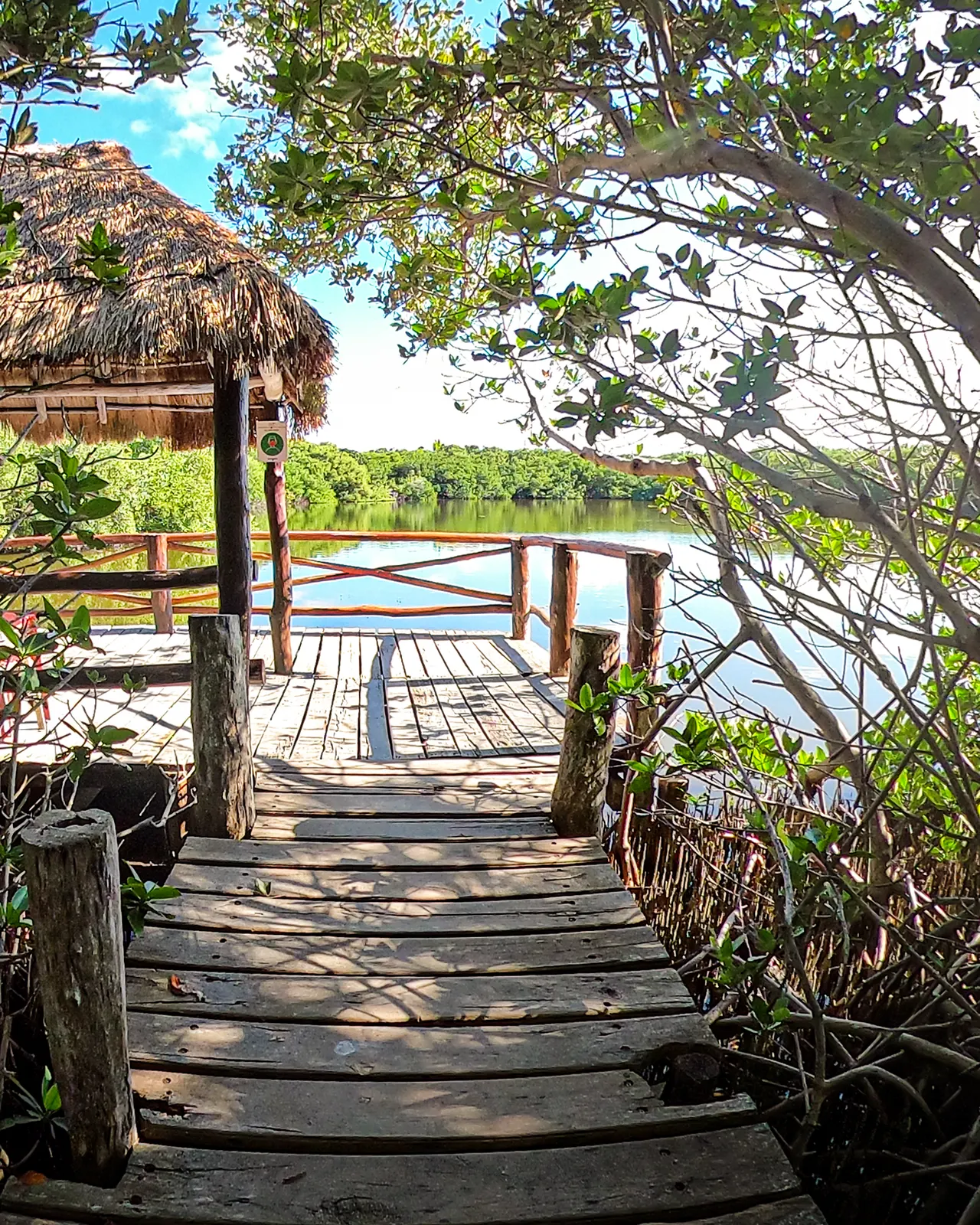 Pasarela de madera rústica que conduce a través de vegetación de manglares hacia una palapa tradicional con techo de paja, con vistas a una laguna de agua turquesa y naturaleza virgen. Ambiente tranquilo y natural, típico de la experiencia de ecoturismo en Isla Contoy.