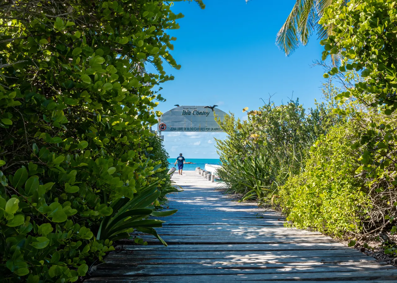 Vista de un camino de madera rodeado de densa vegetación tropical que conduce a una playa turquesa con el letrero de Isla Contoy de fondo. Un visitante en traje de baño se aproxima a la playa bajo un cielo azul despejado. La imagen captura la naturaleza virgen y pristina de Isla Contoy, ideal para tours de naturaleza y esnórquel.