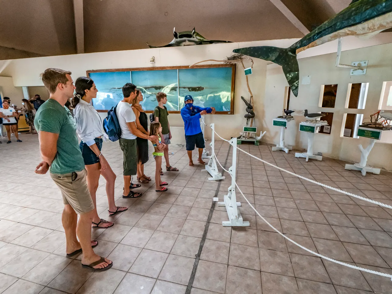 Grupo de turistas adultos y menores escuchando a un guía en uniforme azul dentro de un museo marino. El espacio muestra réplicas de fauna marina colgadas del techo, paneles informativos sobre vida marina, y una atmósfera educativa y casual. Típico punto de parada en los tours a Isla Contoy.