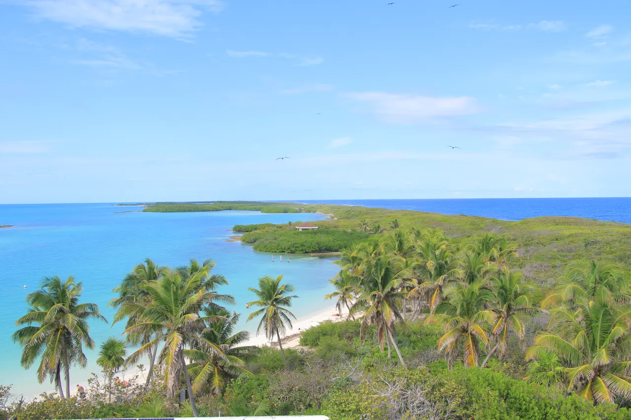 Paisaje aéreo de Isla Contoy mostrando aguas turquesas cristalinas, playas blancas intactas rodeadas de densa vegetación tropical con palmeras, y pequeños cayos en el horizonte. Captura la naturaleza virgen y prístina del destino, ideal para tours de exploración natural.