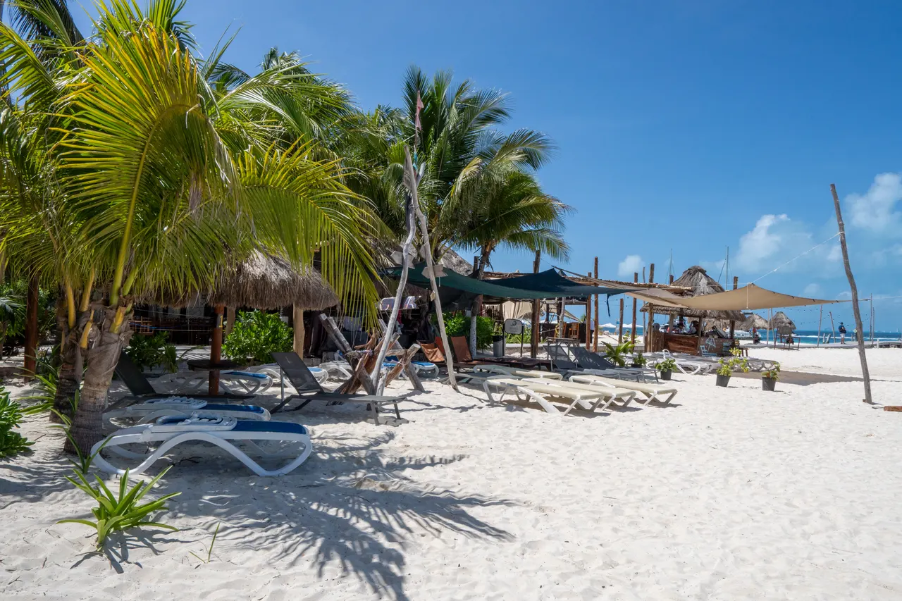 Instalaciones de club de playa caribeño con palapas de techo de palma, camastros azules dispersos en arena blanca, palmeras tropicales y vistas al mar turquesa. Ambiente relajado y exclusivo con bares y áreas sombreadas, perfecto para disfrutar del día playero.