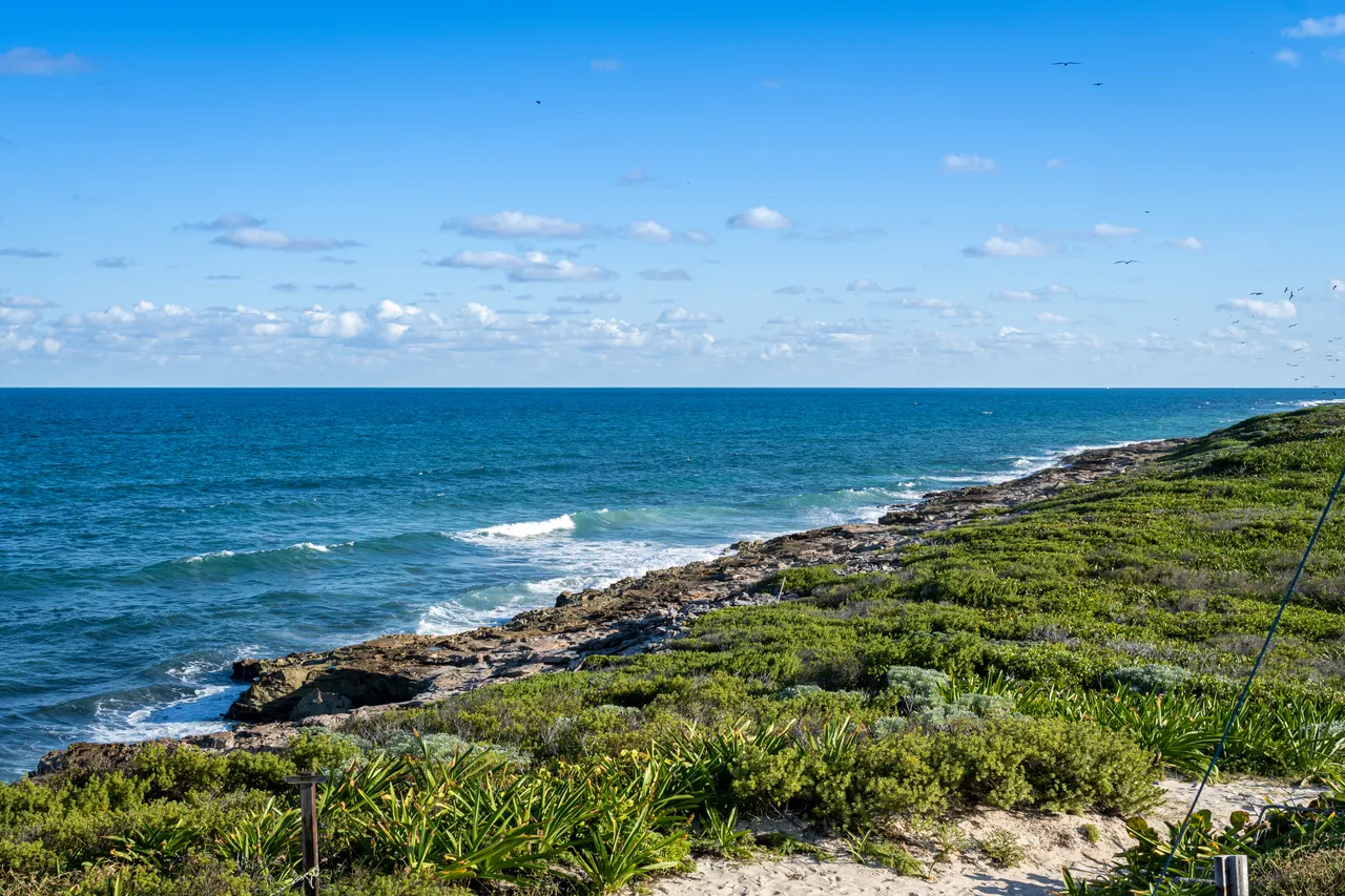 Vista panorámica de la costa rocosa de Isla Contoy con vegetación natural densa, aguas turquesas y cielo despejado. El paisaje muestra la naturaleza virgen y el ecosistema pristino de la isla, con aves volando sobre el horizonte.